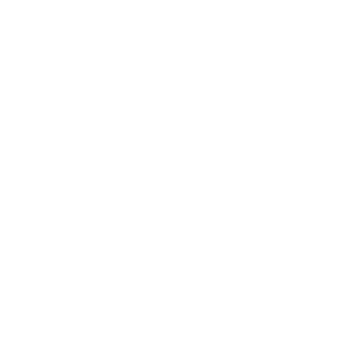 Royal Christmas Fair The Hague